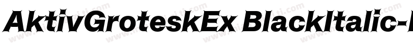 AktivGroteskEx BlackItalic字体转换